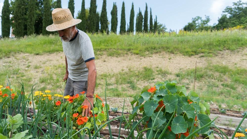 Agriturismo Monastero Di San Biagio โนเชราอุมบรา ภายนอก รูปภาพ