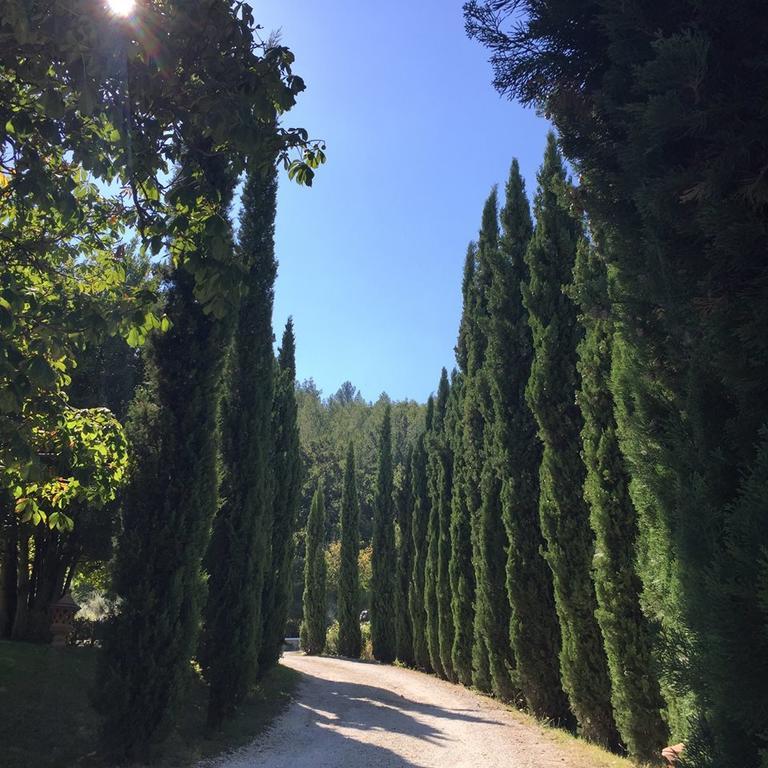 Agriturismo Monastero Di San Biagio โนเชราอุมบรา ภายนอก รูปภาพ
